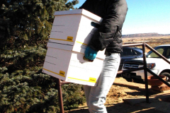 tewa_holiday_project_2007_06