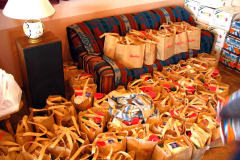 tewa_holiday_project_2007_07