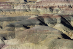 tewa_holiday_project_2008_09