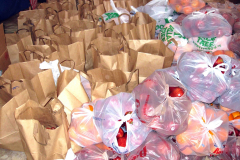 tewa_holiday_project_66