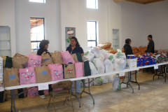 tewa_holiday_project_153