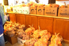 tewa_holiday_project_269