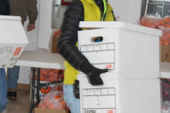 Tewa-Holiday-Project-Delivery-2015-033