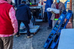 2021-Tewa-Holiday-Project-035