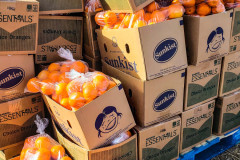 2022-Tewa-Holiday-Project-050